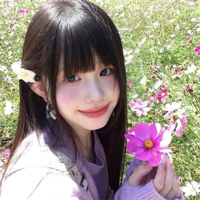 企鹅家族